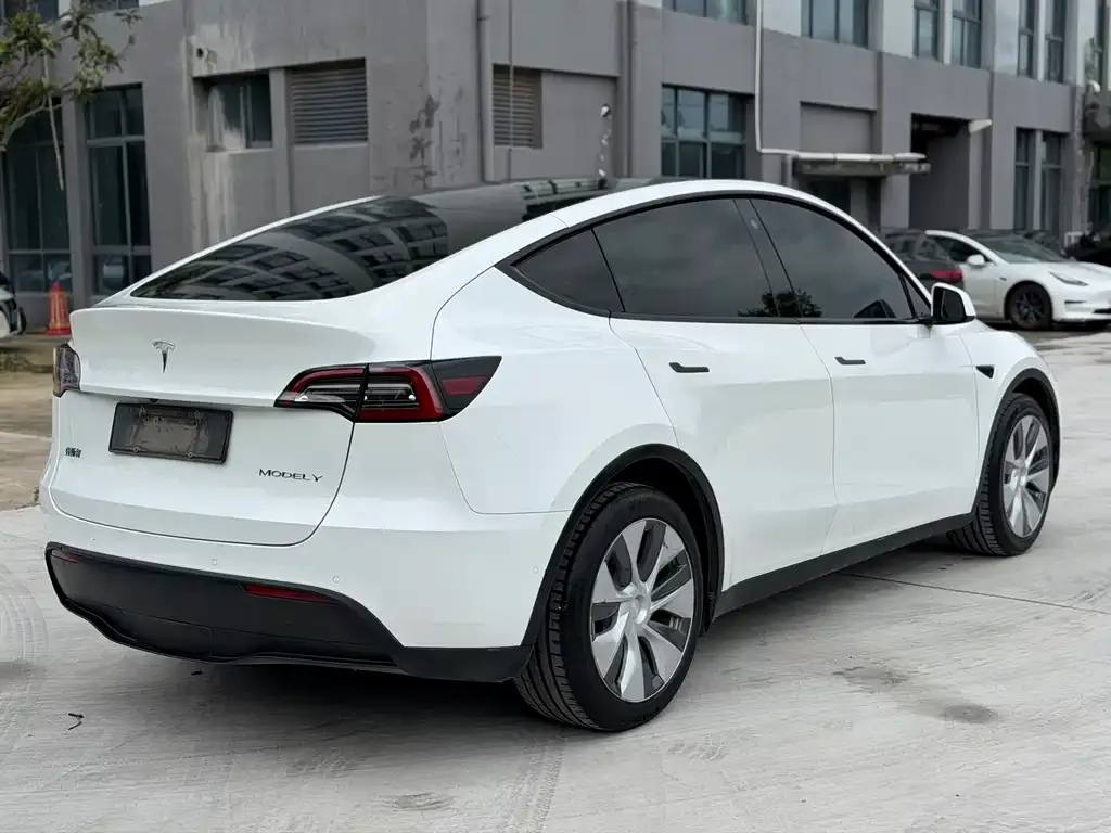 Tesla Model Y — фото 3