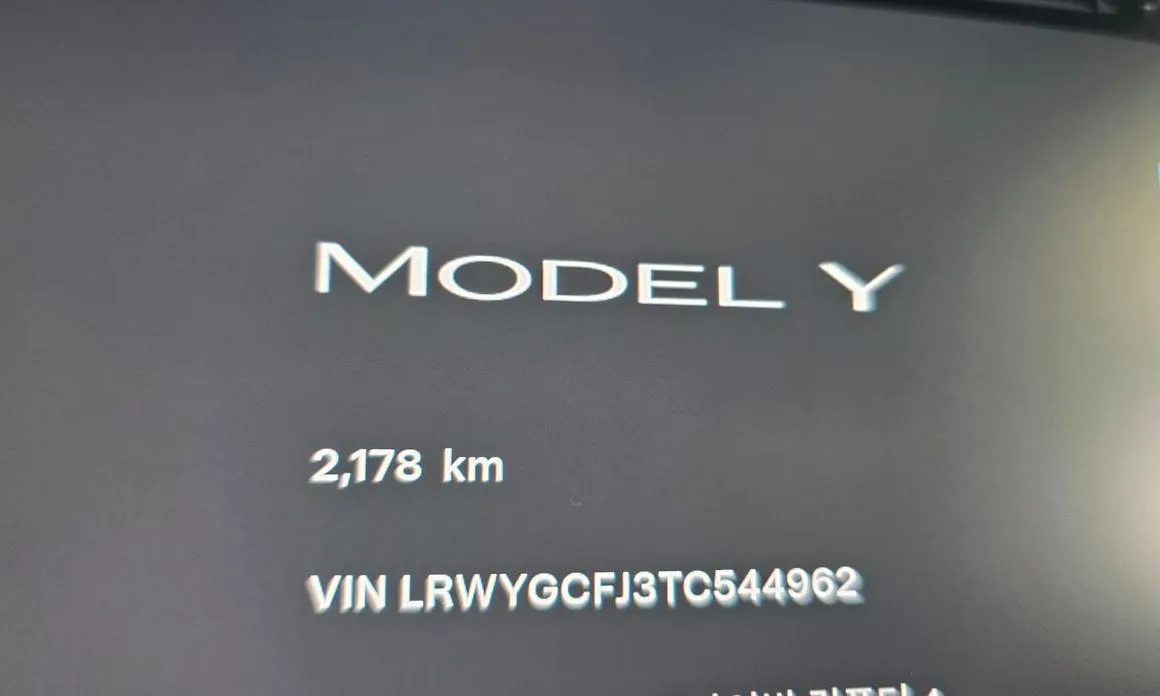 Tesla Model Y 2026 из KR, фото 3