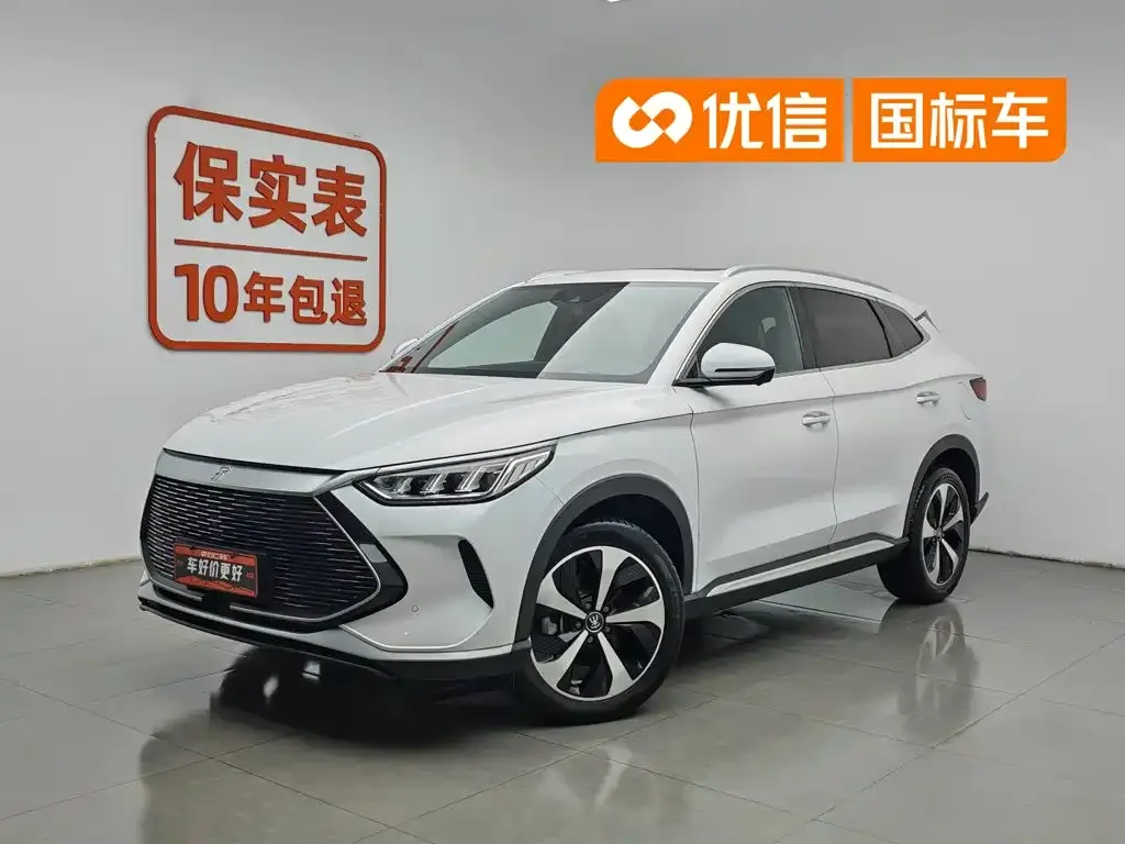 BYD PLUS New Energy — фото 1