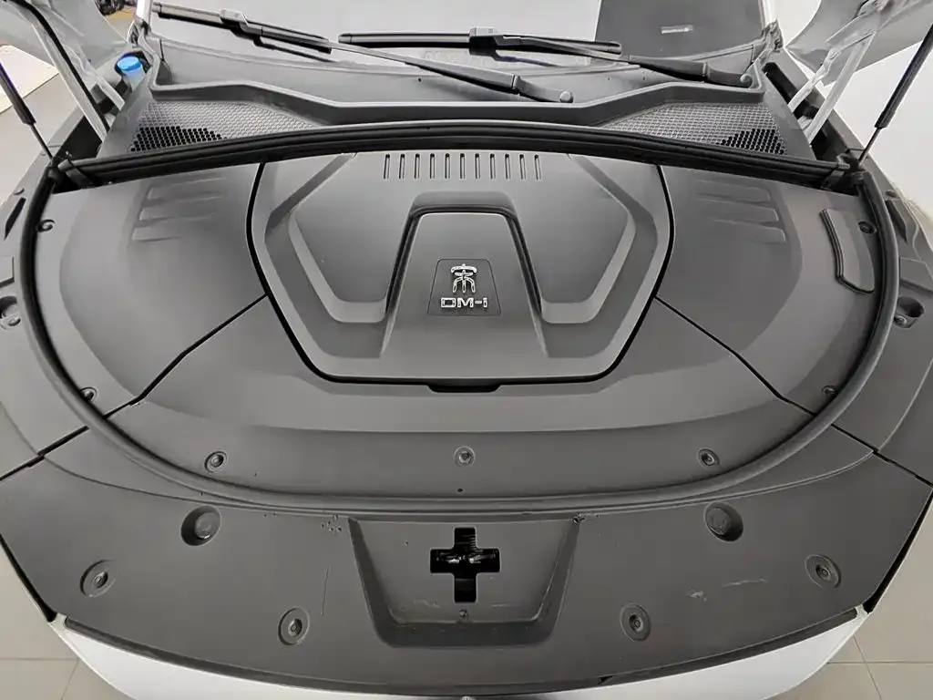 BYD PLUS New Energy — фото 10