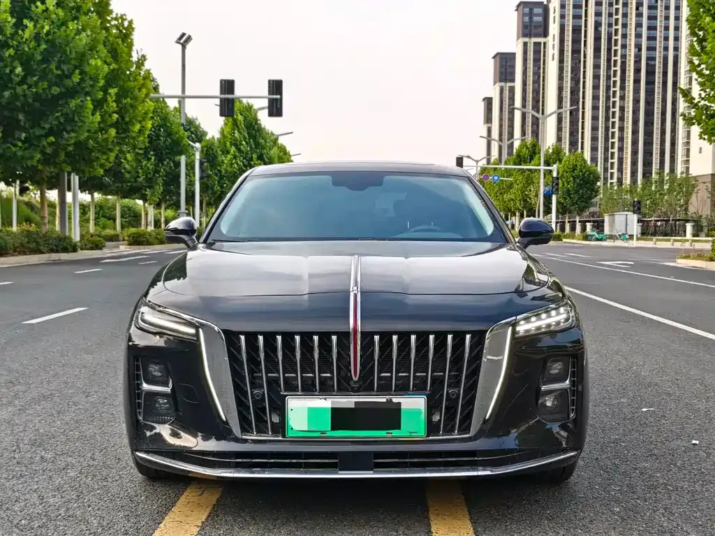 Hongqi H5 PHEV 2025 из CN, фото 9