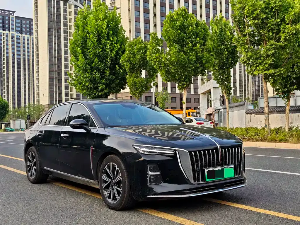 Hongqi H5 PHEV 2025 из CN, фото 5