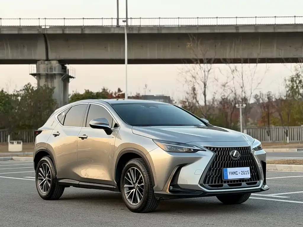 Lexus NX — фото 8