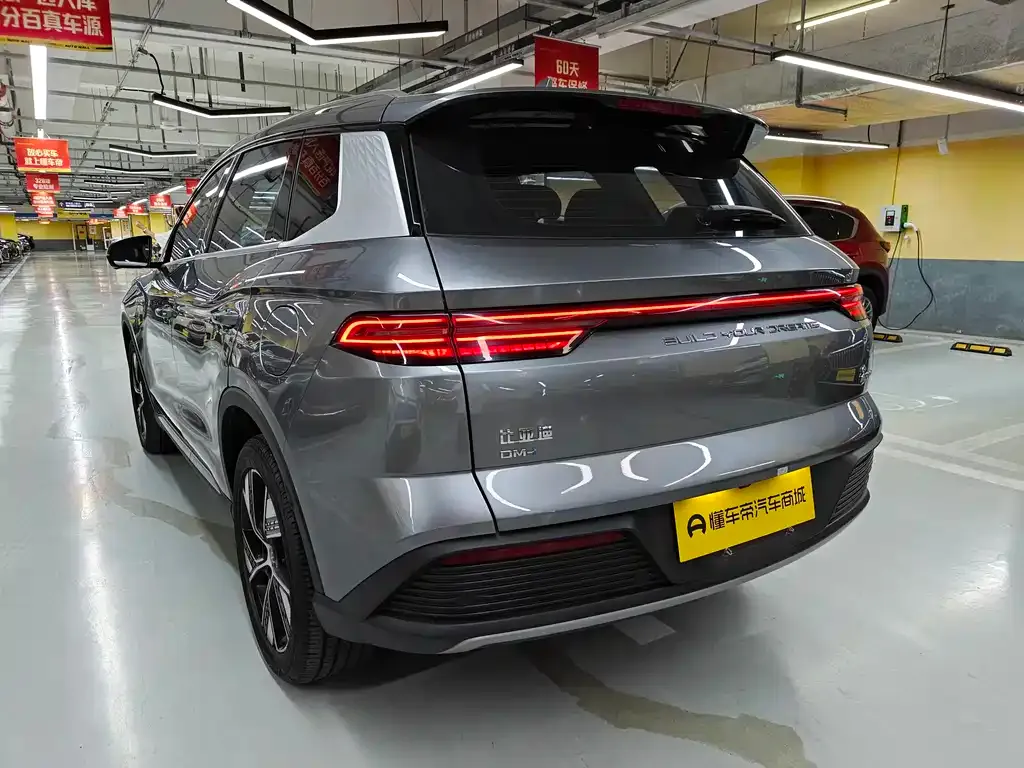 BYD Pro New Energy — фото 8