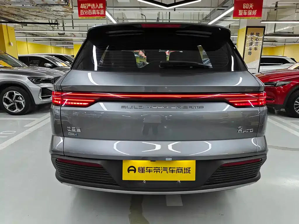 BYD Pro New Energy — фото 6