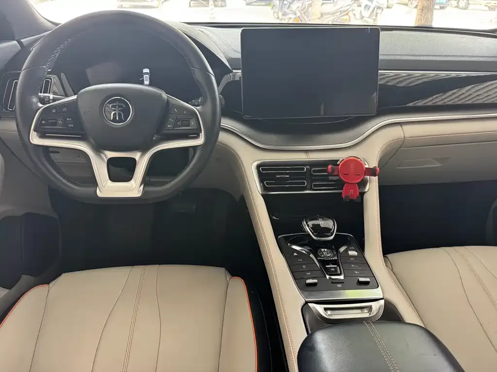 BYD PLUS New Energy — фото 4
