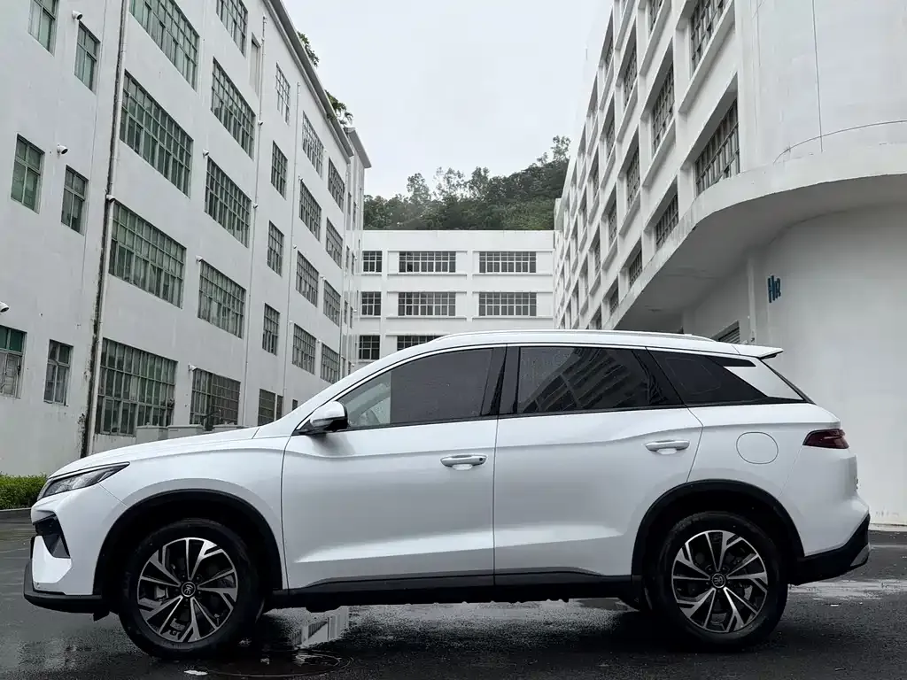 BYD Pro New Energy — фото 3