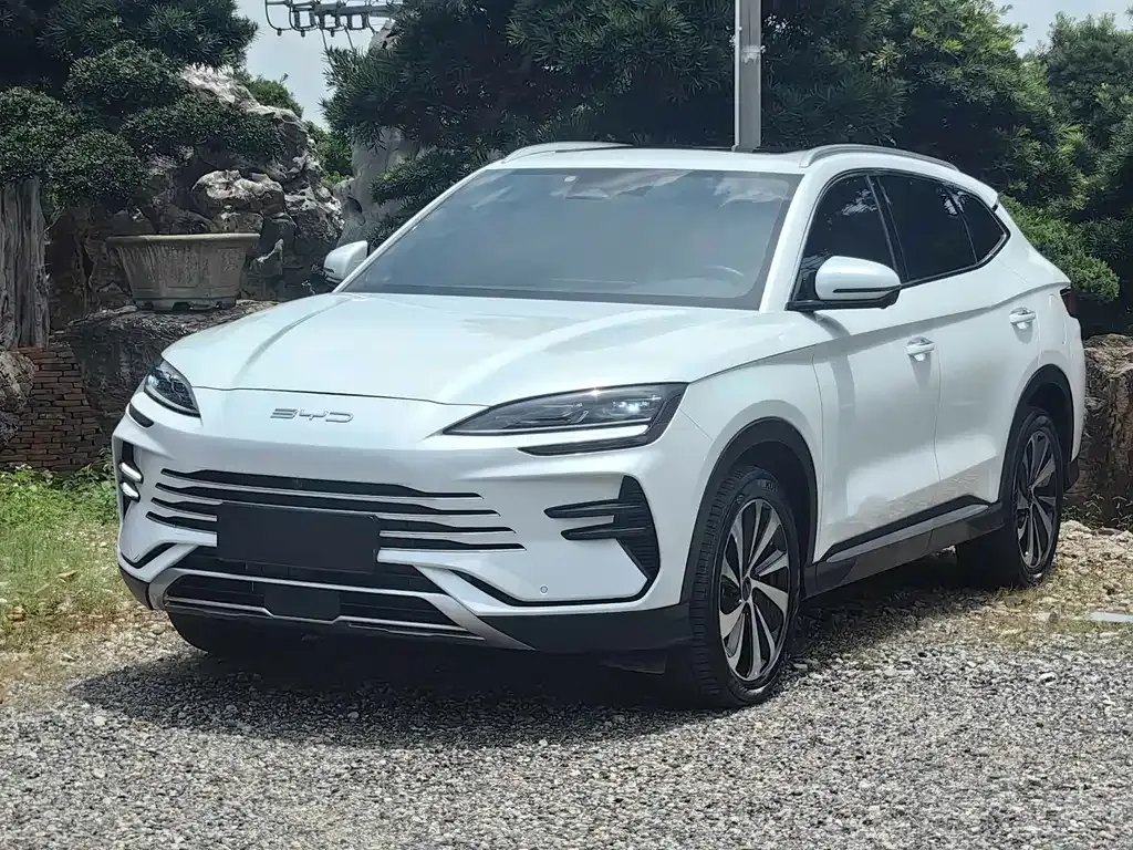 BYD PLUS New Energy