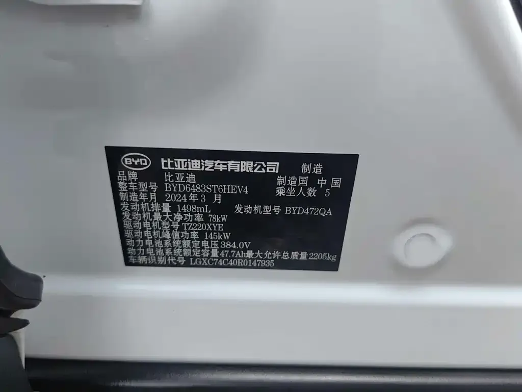 BYD PLUS New Energy 2024 из CN, фото 2