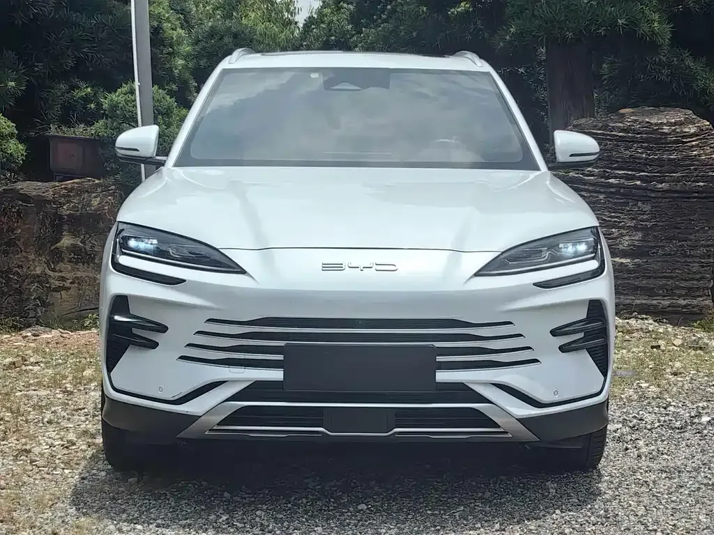 BYD PLUS New Energy 2024 из CN, фото 10