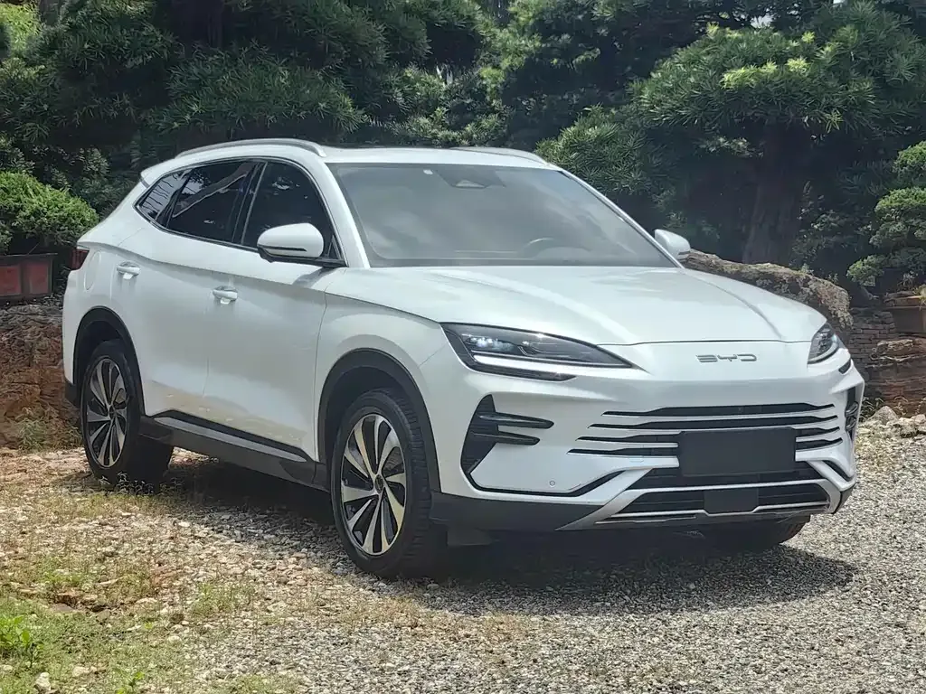 BYD PLUS New Energy 2024 из CN, фото 9