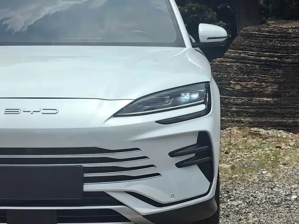 BYD PLUS New Energy 2024 из CN, фото 7