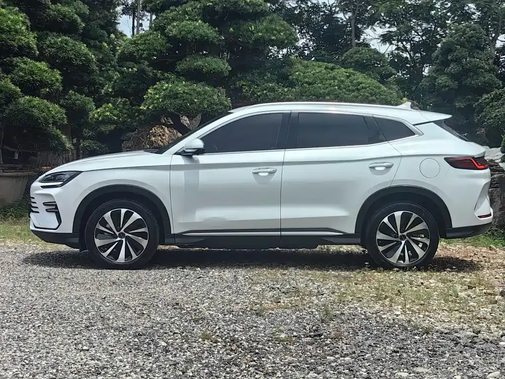 BYD PLUS New Energy 2024 из CN, фото 8