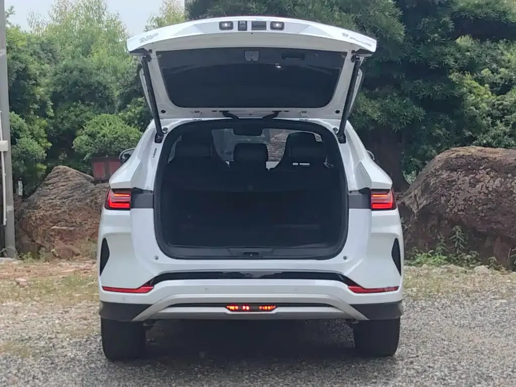 BYD PLUS New Energy 2024 из CN, фото 6