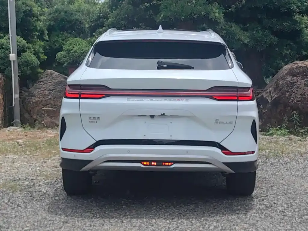 BYD PLUS New Energy 2024 из CN, фото 4