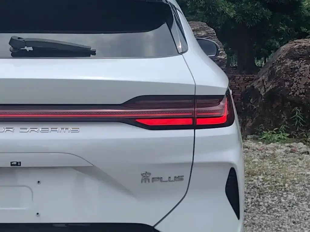 BYD PLUS New Energy 2024 из CN, фото 3