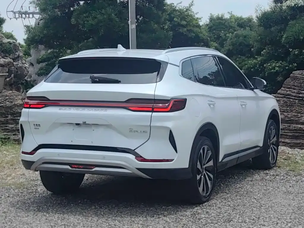 BYD PLUS New Energy 2024 из CN, фото 5