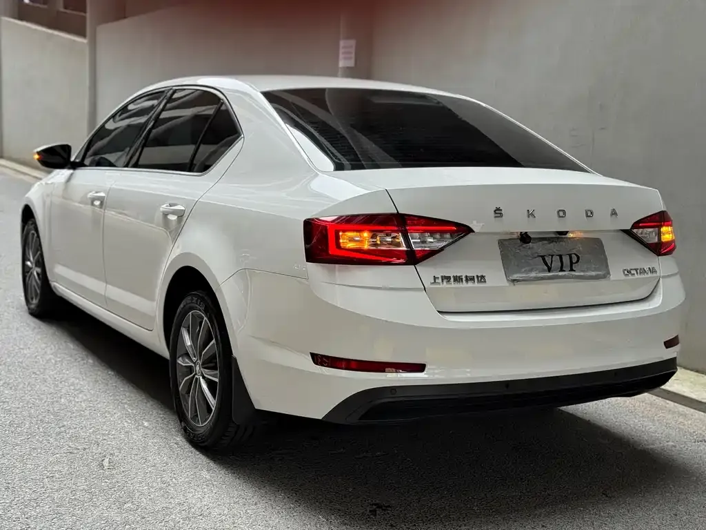 Skoda Octavia 2023 из CN, фото 5