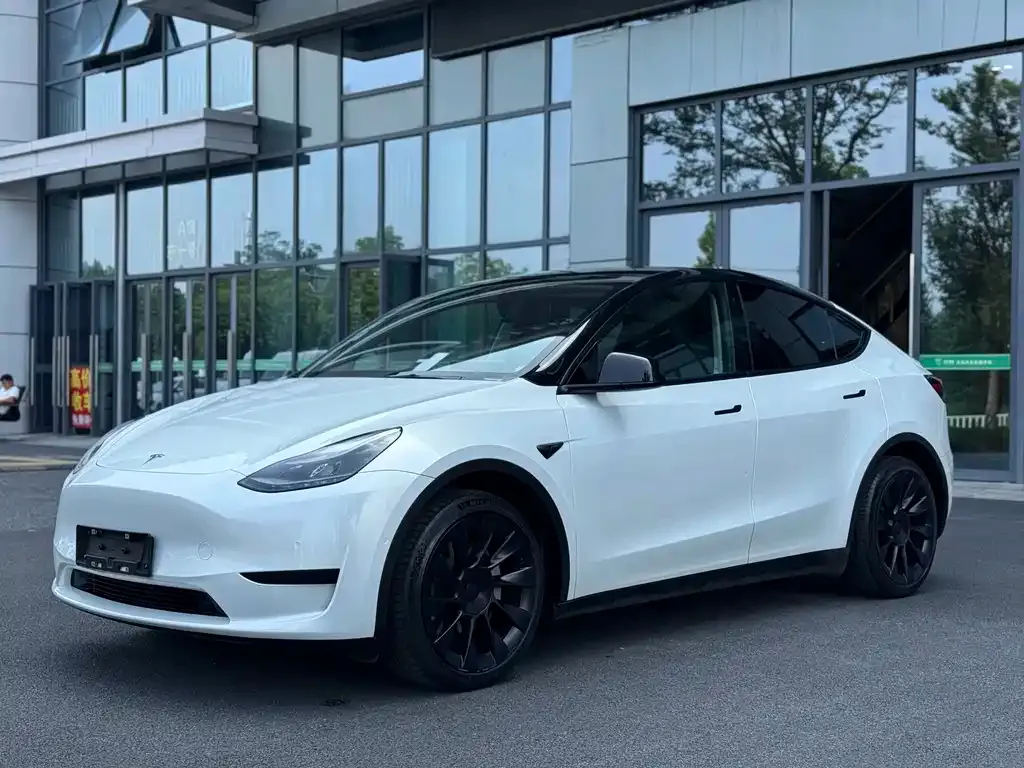 Tesla Model Y — фото 1