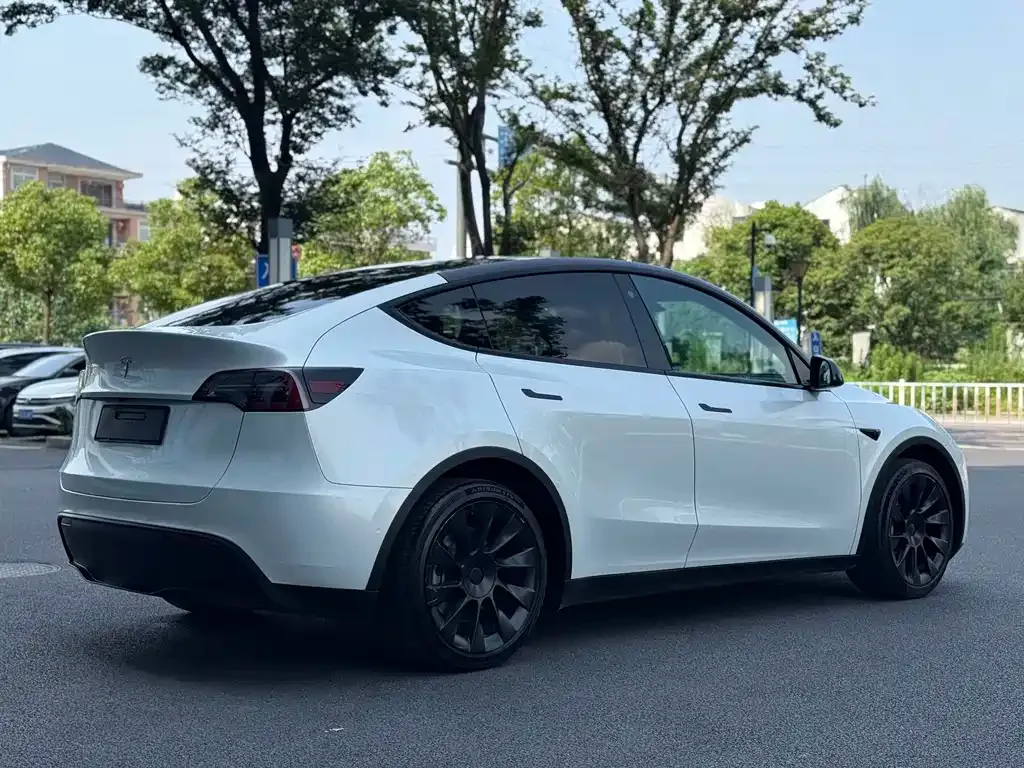 Tesla Model Y — фото 10