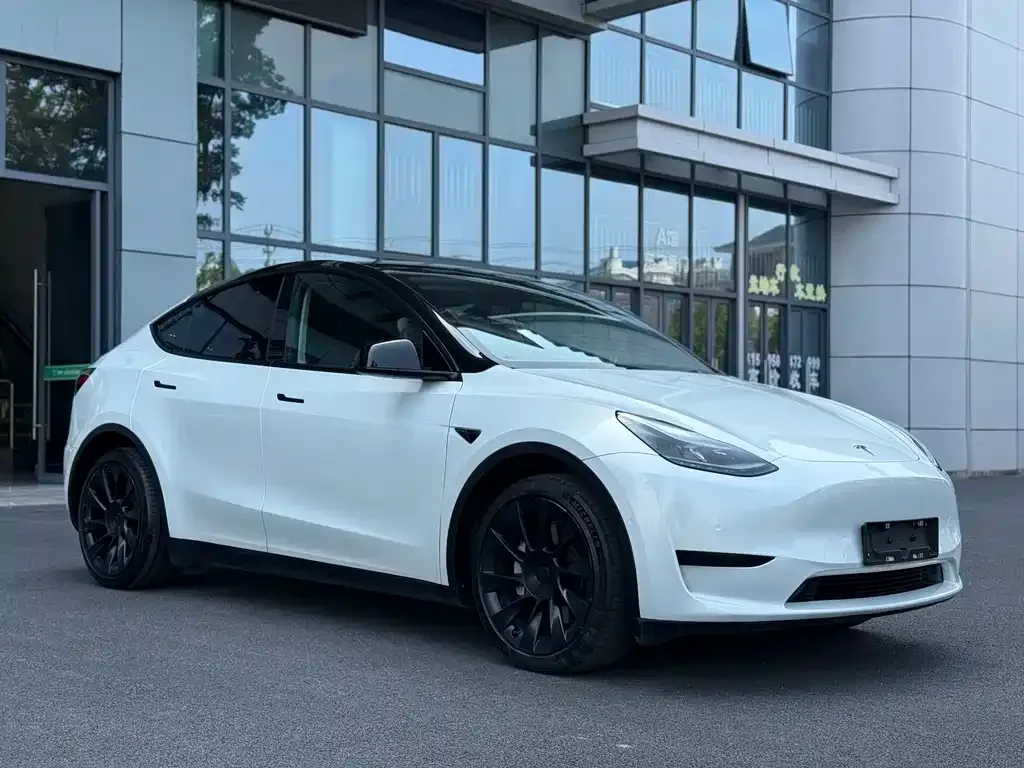 Tesla Model Y — фото 8