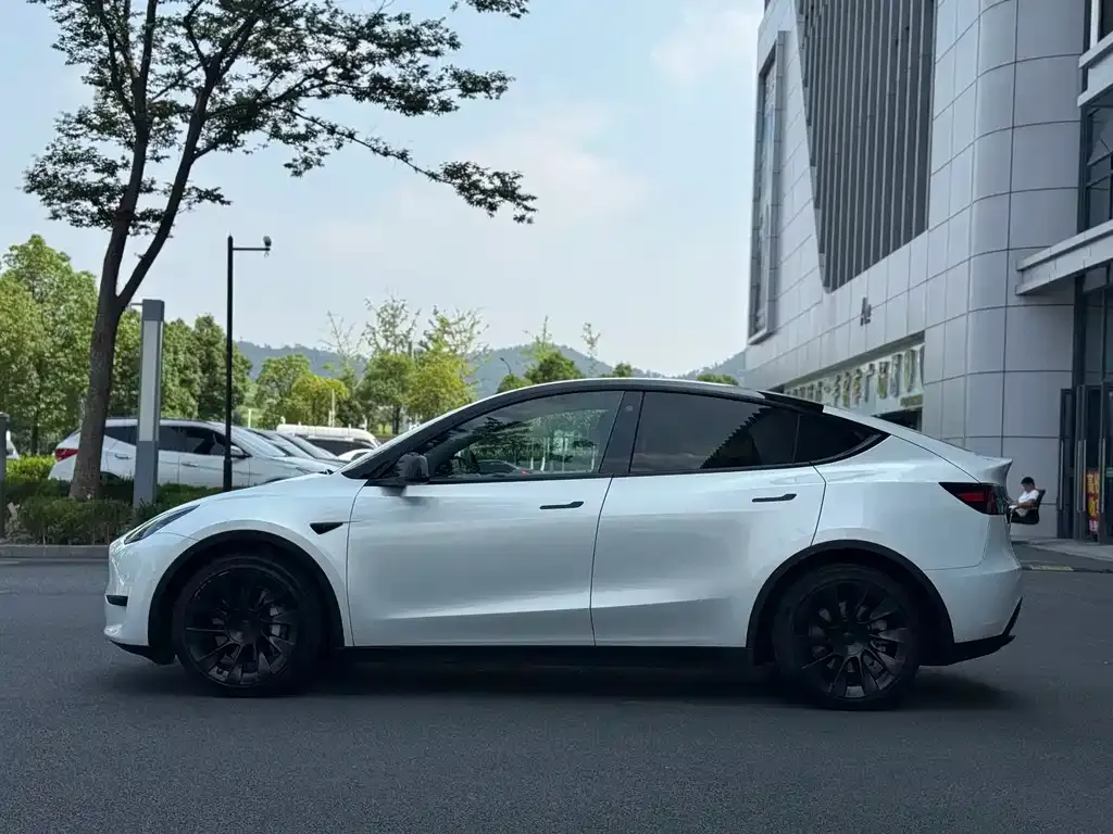 Tesla Model Y — фото 5
