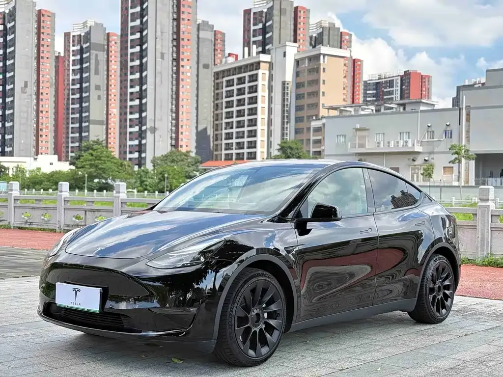 Tesla Model Y — фото 1