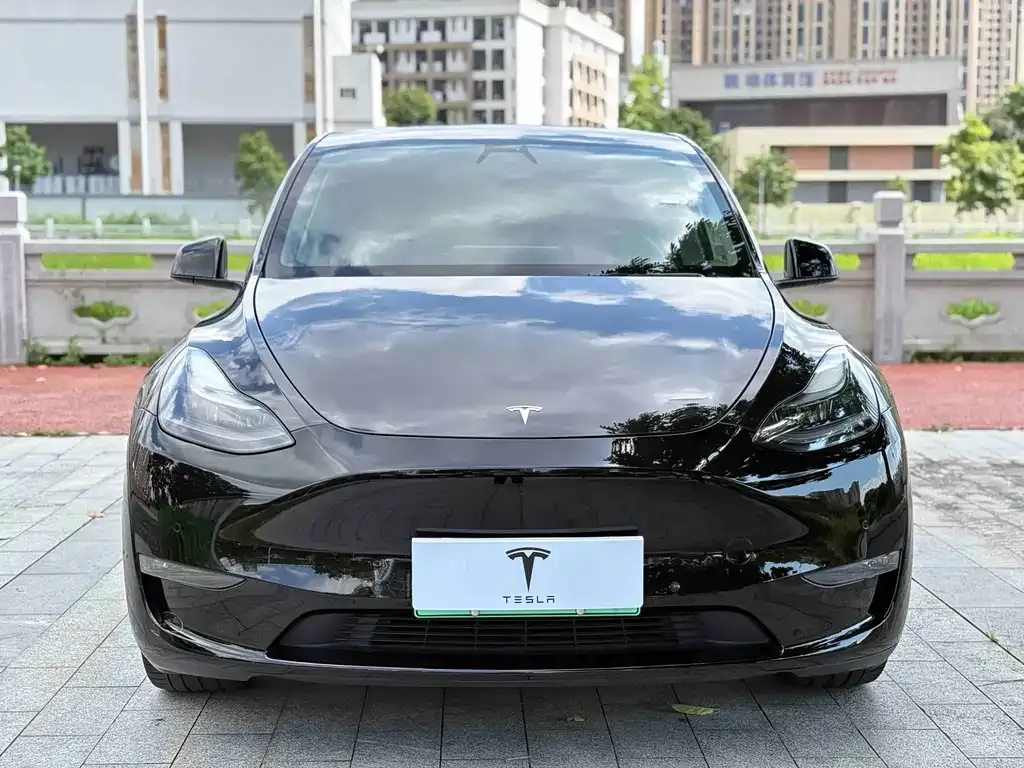 Tesla Model Y — фото 5