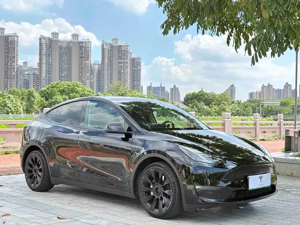 Tesla Model Y — фото 6