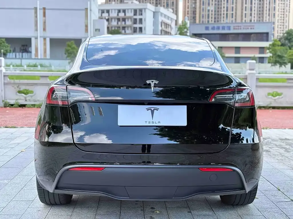 Tesla Model Y — фото 8