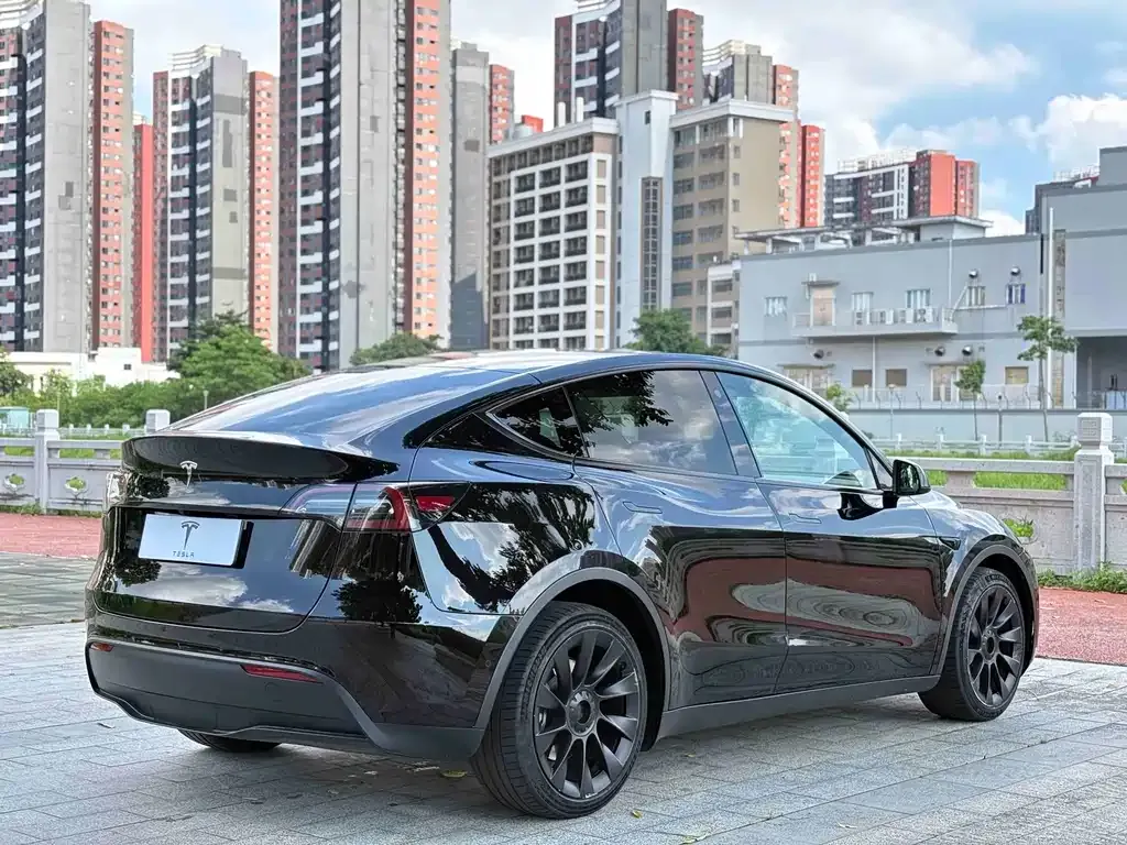 Tesla Model Y — фото 9