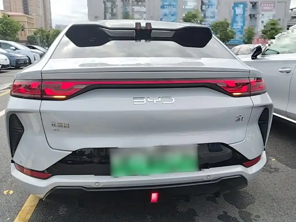 BYD L EV — фото 10