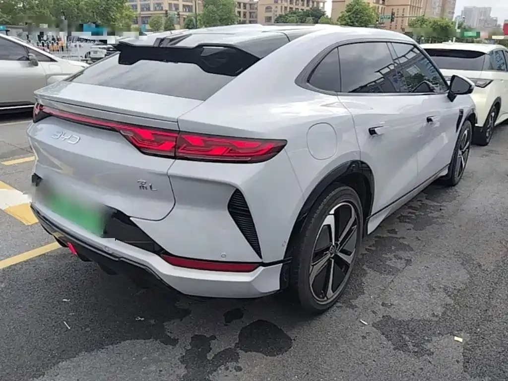 BYD L EV — фото 8