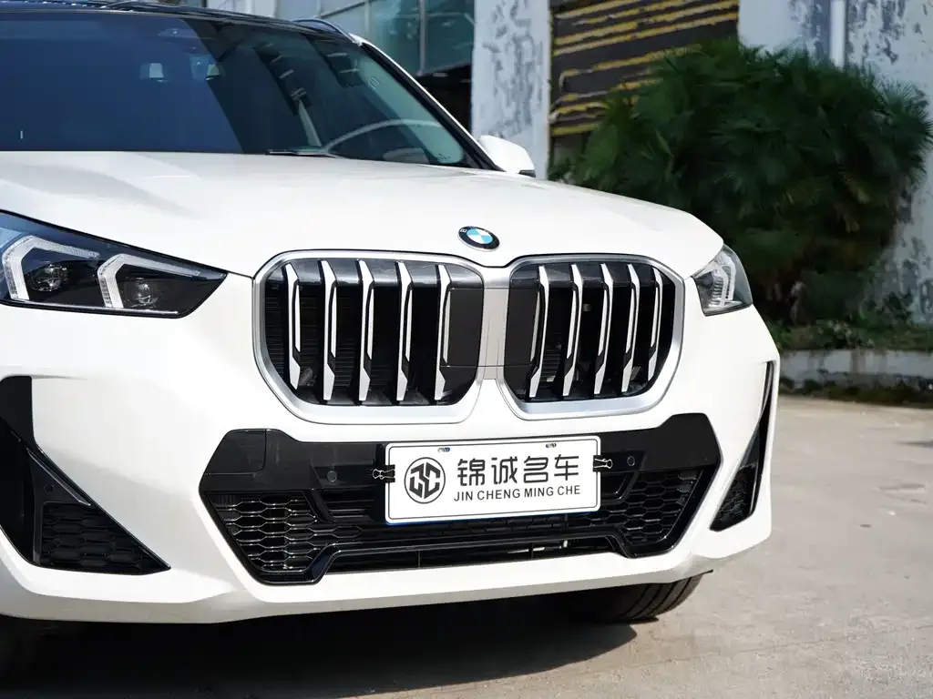 BMW X1 — фото 10