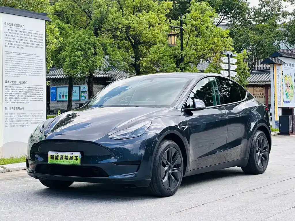 Tesla Model Y — фото 1