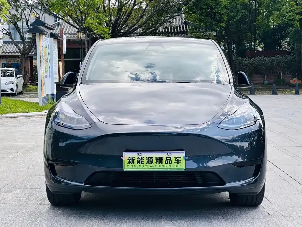 Tesla Model Y — фото 5