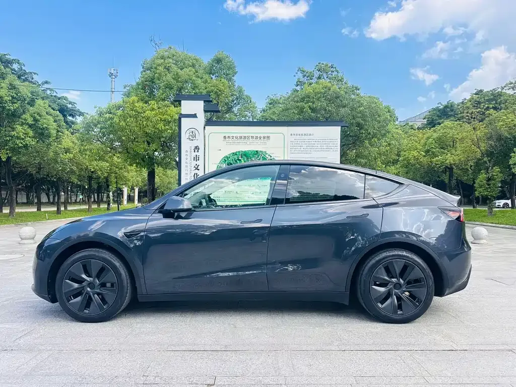 Tesla Model Y — фото 9