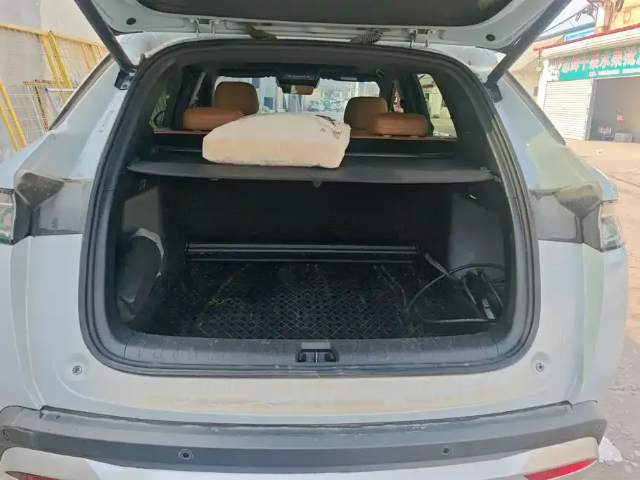 BYD L DM-i 2024 из CN, фото 4