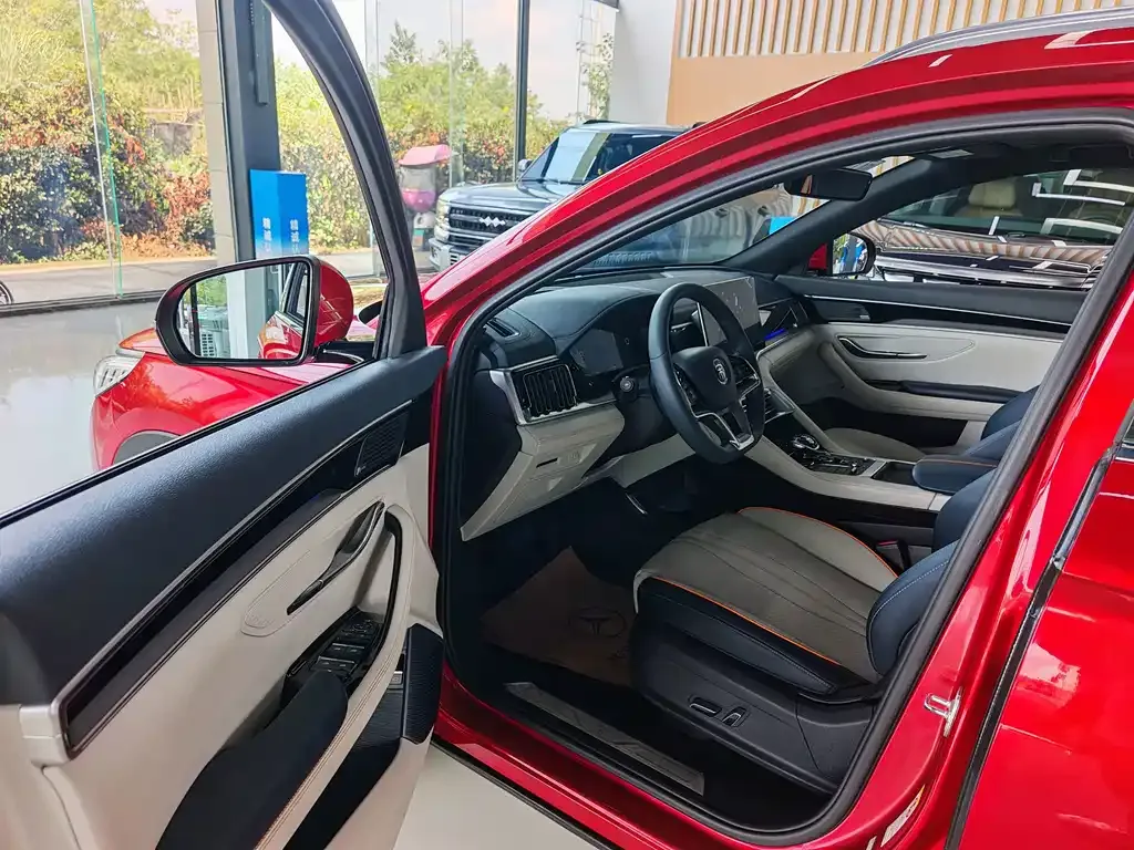 BYD PLUS New Energy — фото 2