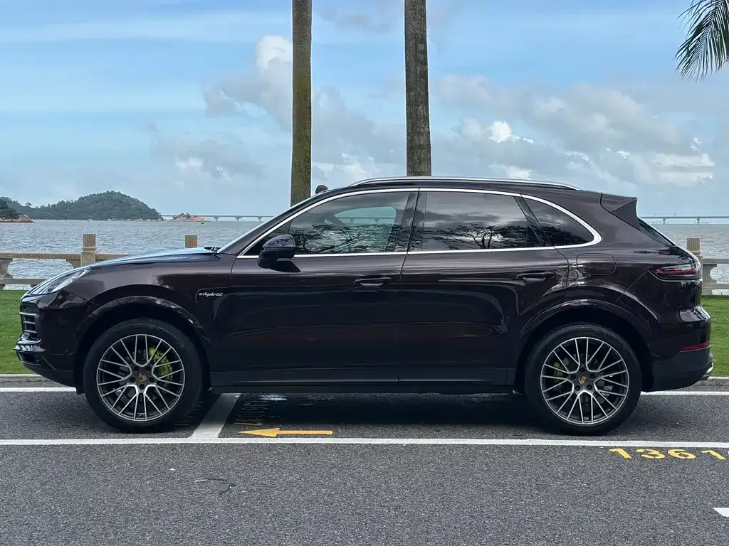Porsche Cayenne Hybrid 2022 из CN, фото 5