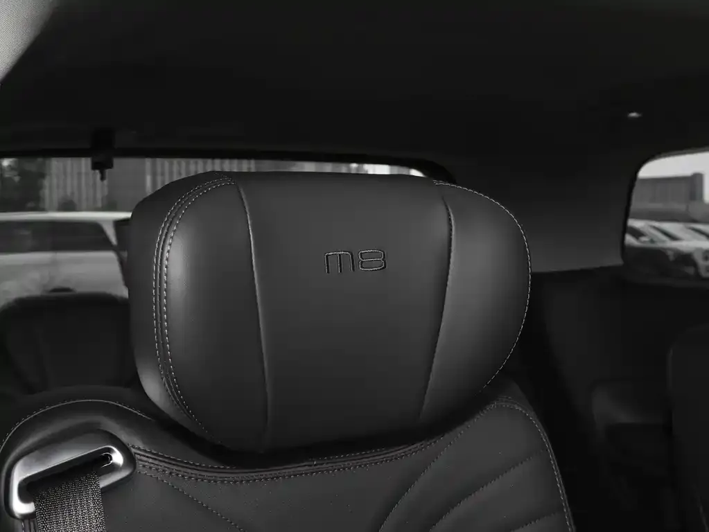GAC Motor Trumpchi M8 — фото 2