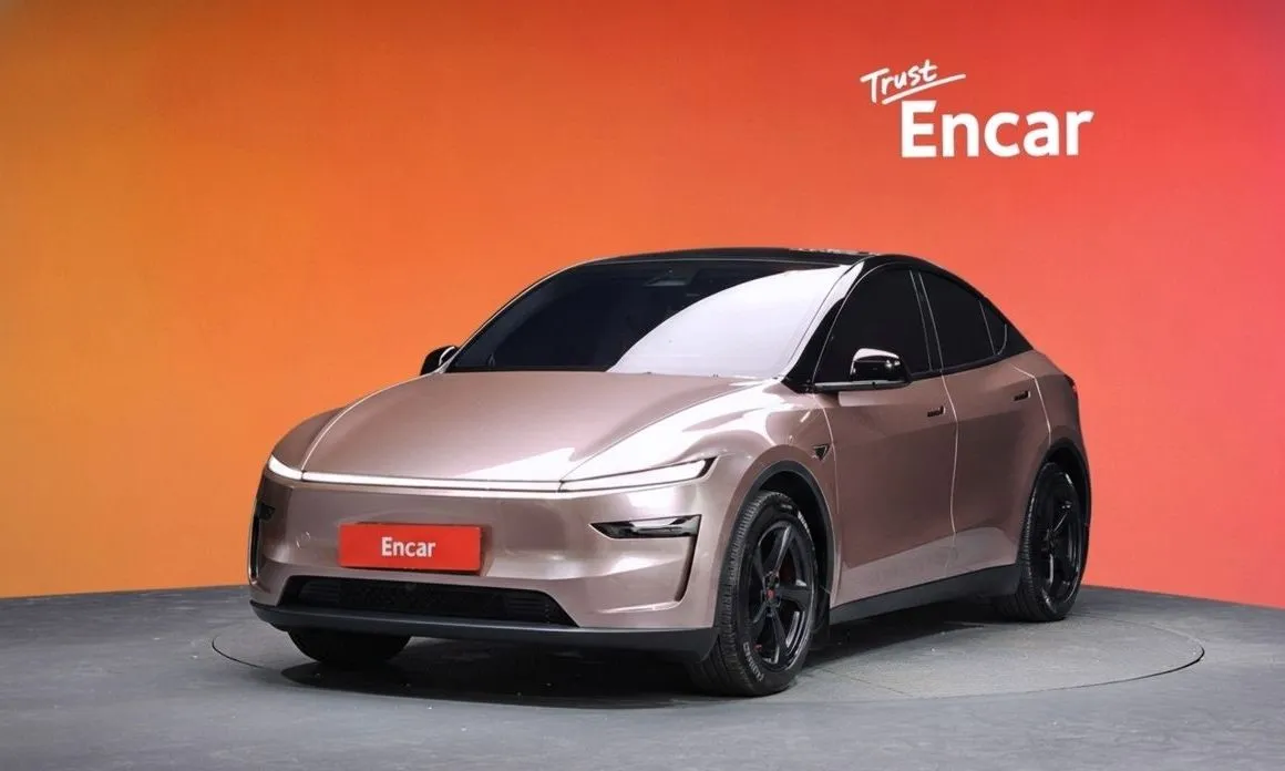Tesla Model Y — фото 1
