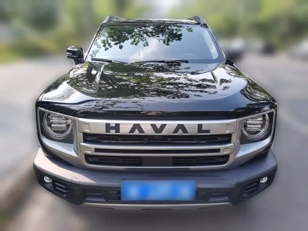 Haval Big Dog 2024 из CN, фото 9