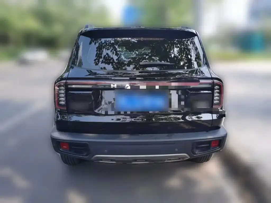 Haval Big Dog 2024 из CN, фото 2