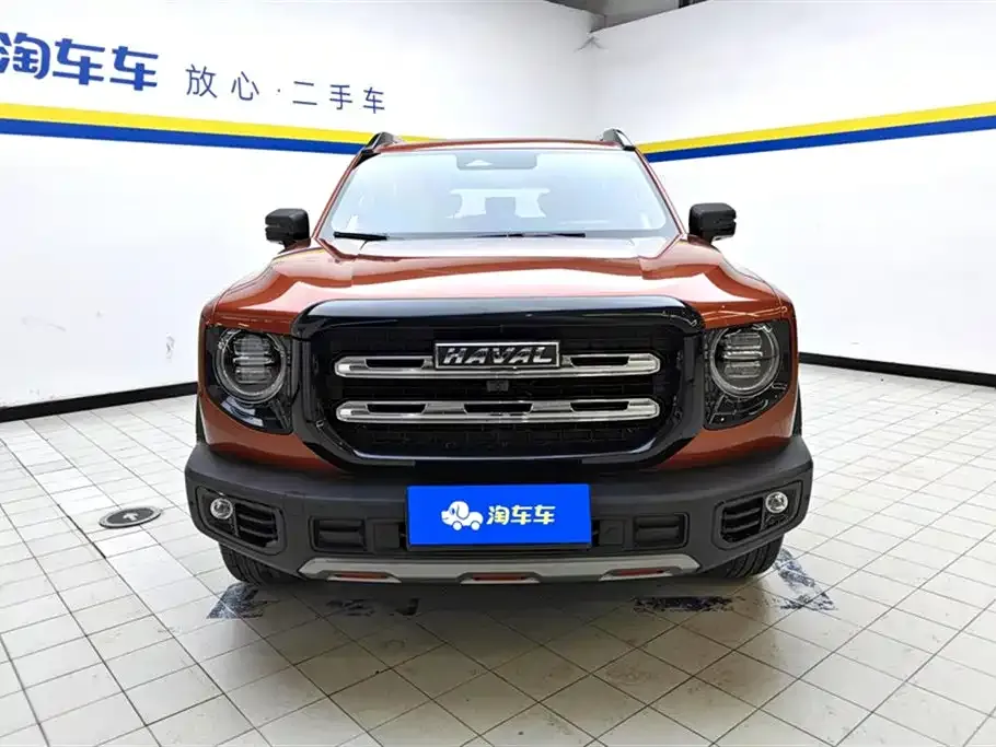 Haval Big Dog — фото 9