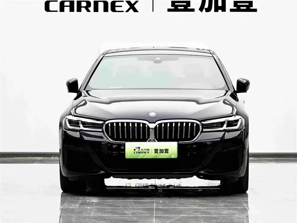 BMW 5 Series New Energy — фото 2