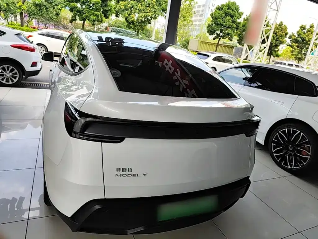 Tesla Model Y — фото 6