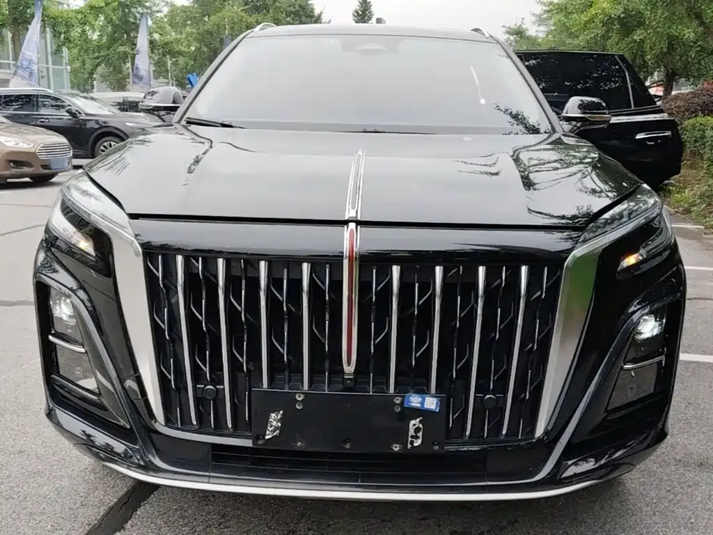 Hongqi HS3 2024 из CN, фото 8