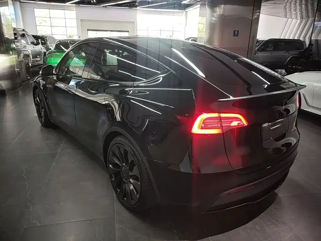 Tesla Model Y — фото 9