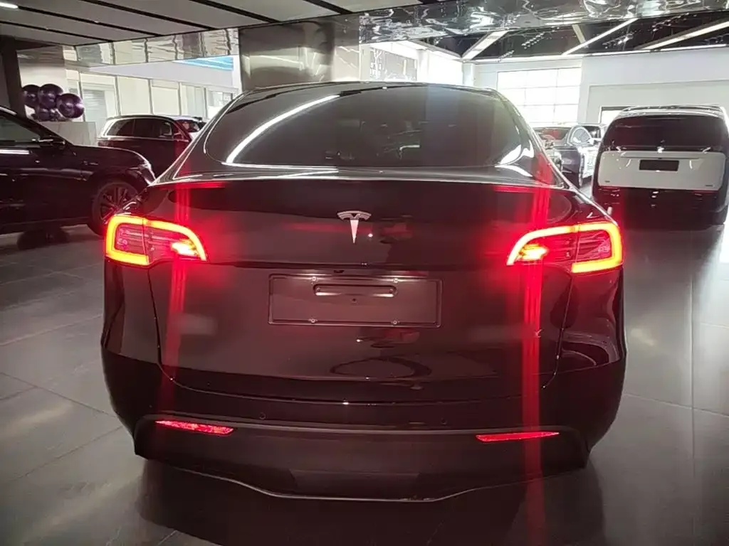 Tesla Model Y — фото 3